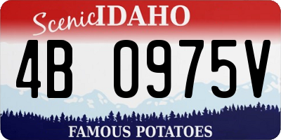 ID license plate 4B0975V