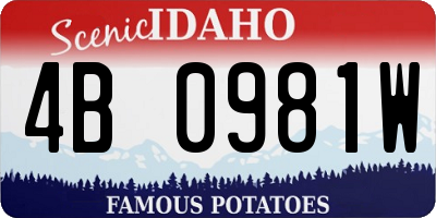 ID license plate 4B0981W