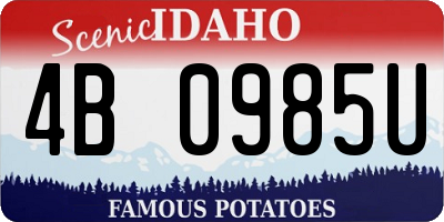 ID license plate 4B0985U