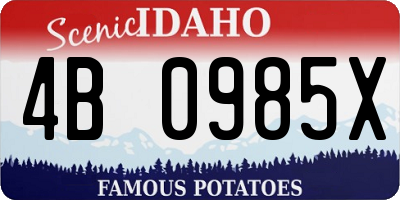 ID license plate 4B0985X