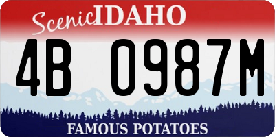 ID license plate 4B0987M