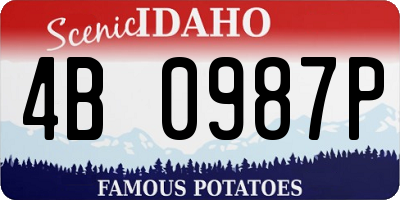 ID license plate 4B0987P