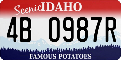 ID license plate 4B0987R