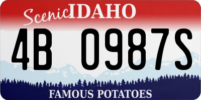 ID license plate 4B0987S