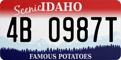 ID license plate 4B0987T