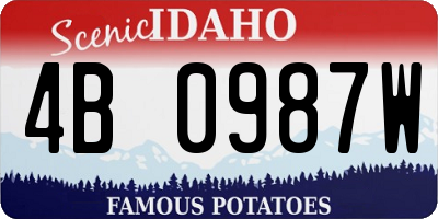 ID license plate 4B0987W