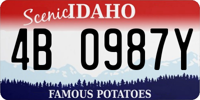 ID license plate 4B0987Y