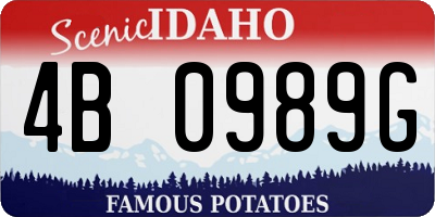 ID license plate 4B0989G
