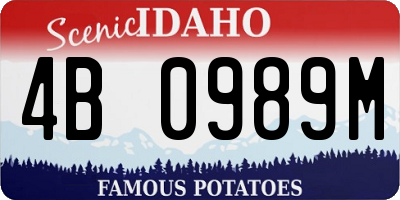 ID license plate 4B0989M
