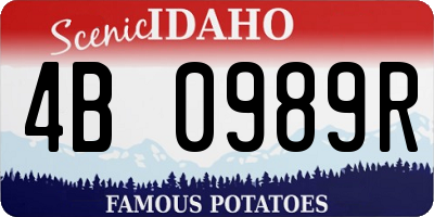 ID license plate 4B0989R