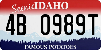 ID license plate 4B0989T