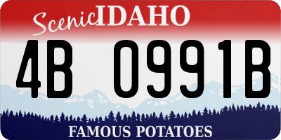 ID license plate 4B0991B