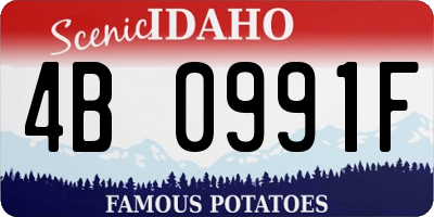 ID license plate 4B0991F