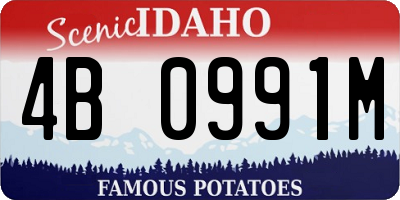 ID license plate 4B0991M