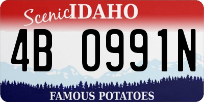 ID license plate 4B0991N