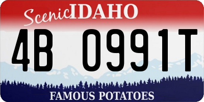 ID license plate 4B0991T