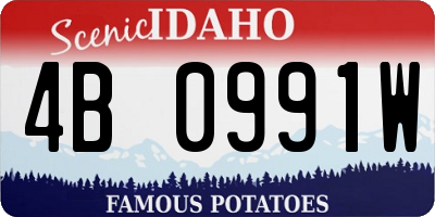 ID license plate 4B0991W