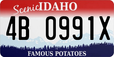 ID license plate 4B0991X