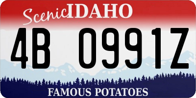 ID license plate 4B0991Z