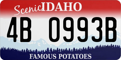 ID license plate 4B0993B