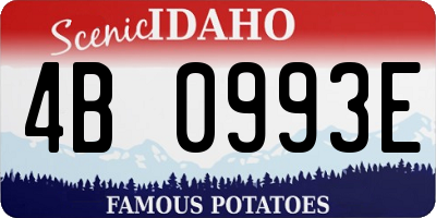 ID license plate 4B0993E