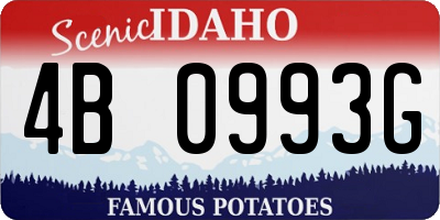 ID license plate 4B0993G