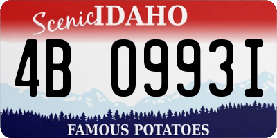 ID license plate 4B0993I
