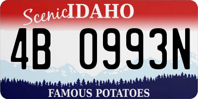 ID license plate 4B0993N