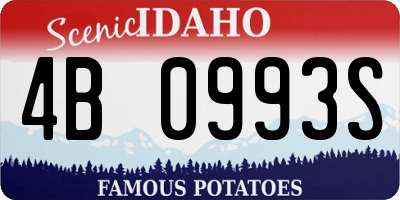 ID license plate 4B0993S