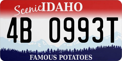 ID license plate 4B0993T