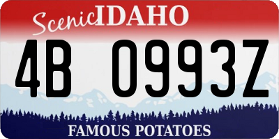 ID license plate 4B0993Z