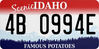 ID license plate 4B0994E
