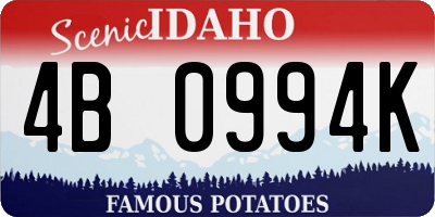 ID license plate 4B0994K