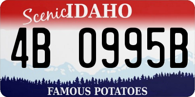 ID license plate 4B0995B