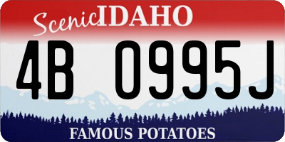 ID license plate 4B0995J