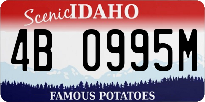 ID license plate 4B0995M