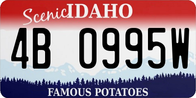 ID license plate 4B0995W