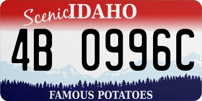 ID license plate 4B0996C