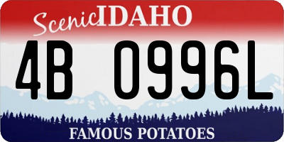ID license plate 4B0996L