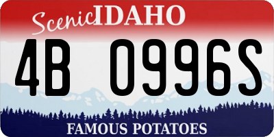 ID license plate 4B0996S