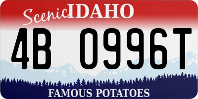 ID license plate 4B0996T