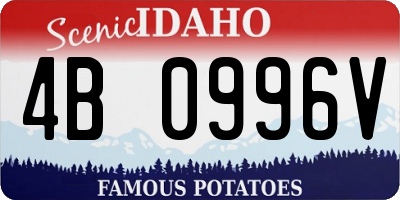 ID license plate 4B0996V