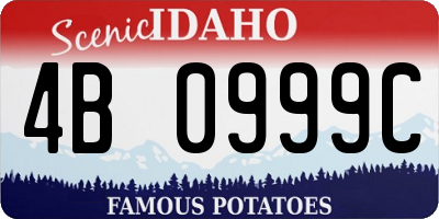 ID license plate 4B0999C