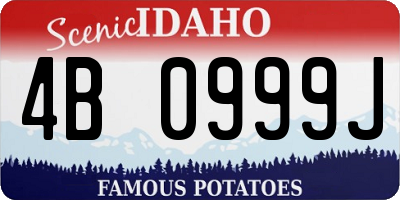 ID license plate 4B0999J