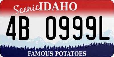 ID license plate 4B0999L