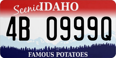 ID license plate 4B0999Q
