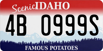 ID license plate 4B0999S