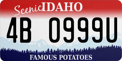 ID license plate 4B0999U
