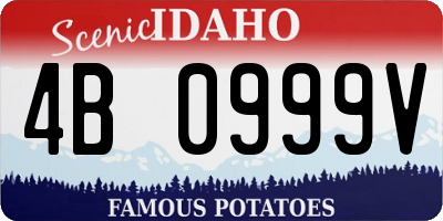 ID license plate 4B0999V