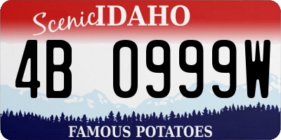 ID license plate 4B0999W